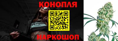 гидра Славгород