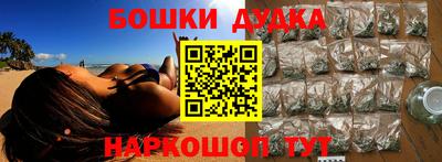 гидра Славгород