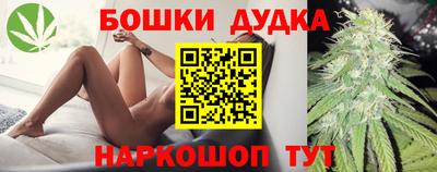 гидра Славгород