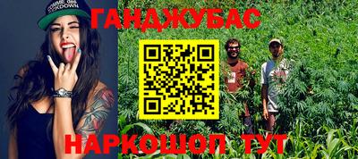 таблы Сланцы