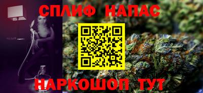 гидра Славгород