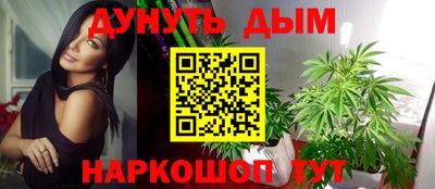 гидра Славгород