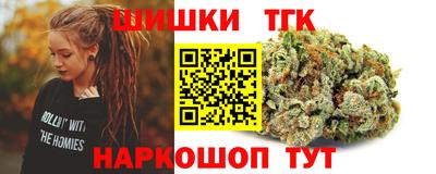 гидра Славгород